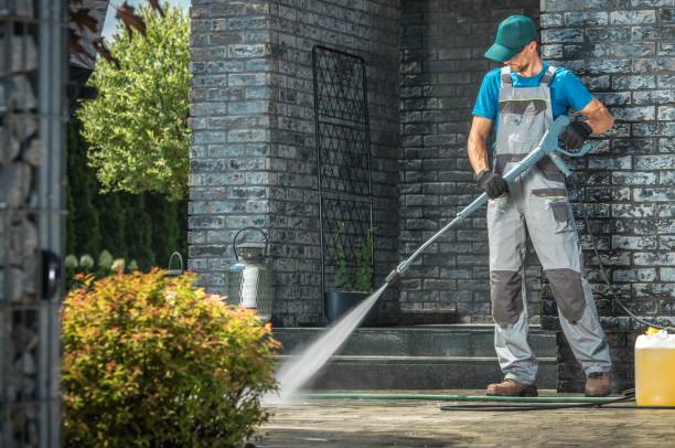 Best Solar Panel Cleaning  in Palmyra, MO