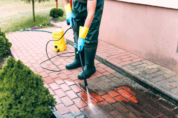 Best Pool Deck Cleaning  in Palmyra, MO