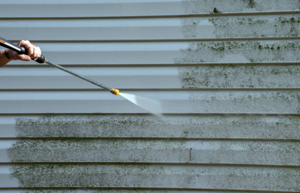 Best Dumpster Area Cleaning  in Palmyra, MO