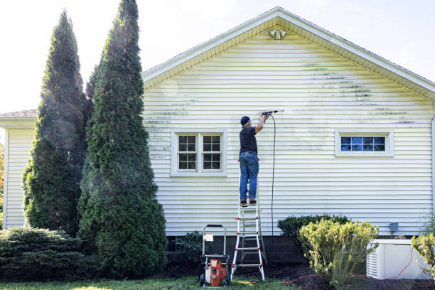 Best Building Exterior Washing  in Palmyra, MO